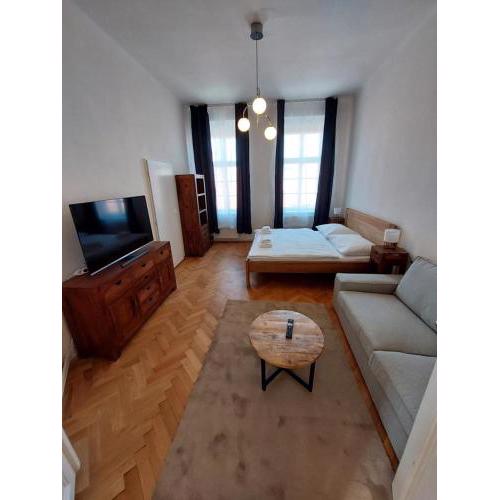 Zelezna 12 - Old Town View Apartment