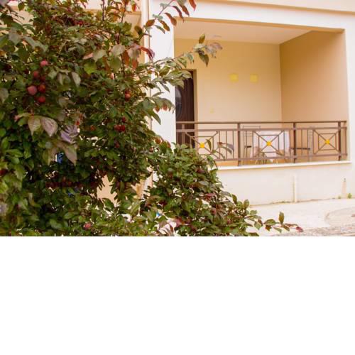 Zenias Apartments