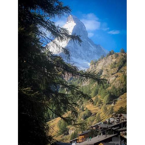 Zermatt Zauber - Appartement Arnica EG