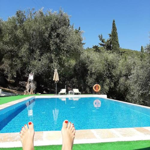 Zeus1 apartment with private pool