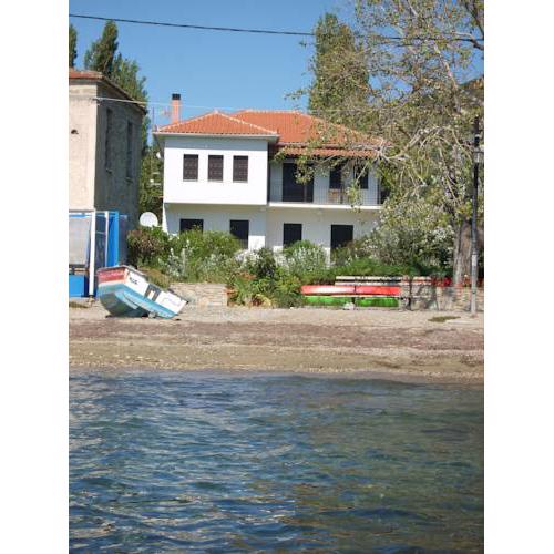 Zmas Studios