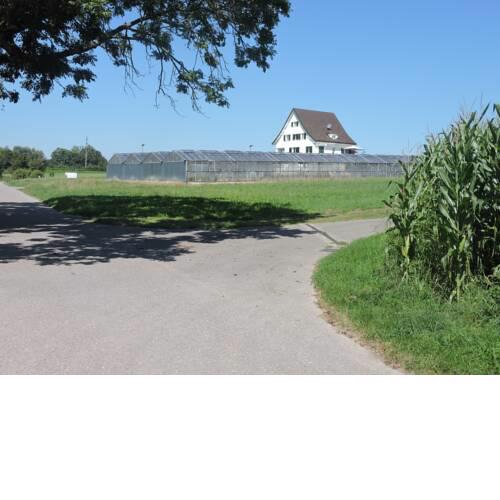 ZOE Home Privatzimmer