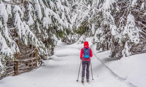 Jeseníky: Penzion Stonožka u skiareálů s polopenzí a wellness + dítě zdarma