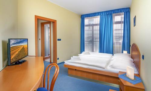 Karlovy Vary: 8 dní v Hotelu Růže **** s 15 léčebnými procedurami, vstupem do Alžbětiných lázní + plná penze