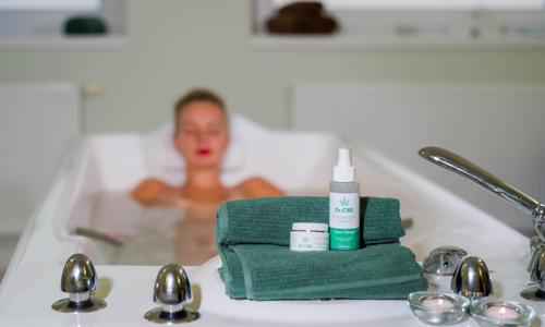 Karlovy Vary v Resortu Sanssouci **** s až 8 konopnými procedurami, neomezeným wellness a polopenzí