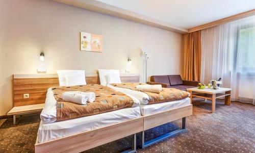 Nízké Tatry: Dovolená v Alexandra Wellness Hotelu *** s neomezeným wellness, procedurami a polopenzí