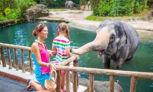 Pobyt blízko ZOO Dvůr Králové: Penzion Pod Vyhlídkou v pokoji či apartmánu se snídaní, vínem a saunou