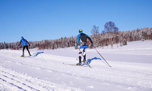Šumava: dovolená u Boubínského pralesa v Penzionu Pod pralesem s polopenzí