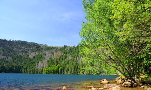 Šumava: Prozkoumejte jihočeský turistický ráj u Kneippových lázní z Penzionu Pod Svahem s možností grilování