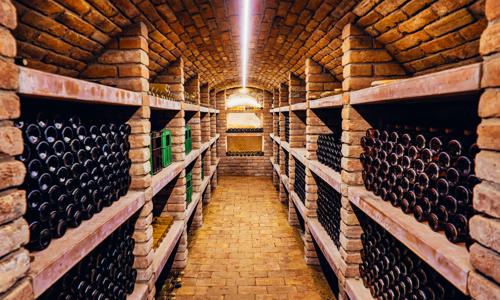 Vinařský pobyt na jižní Moravě u Znojma ve Vinařství Lintner s řízenou degustací, občerstvením a snídaněmi