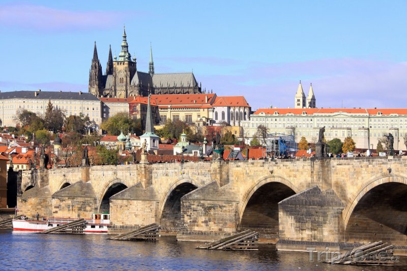 Česká republika